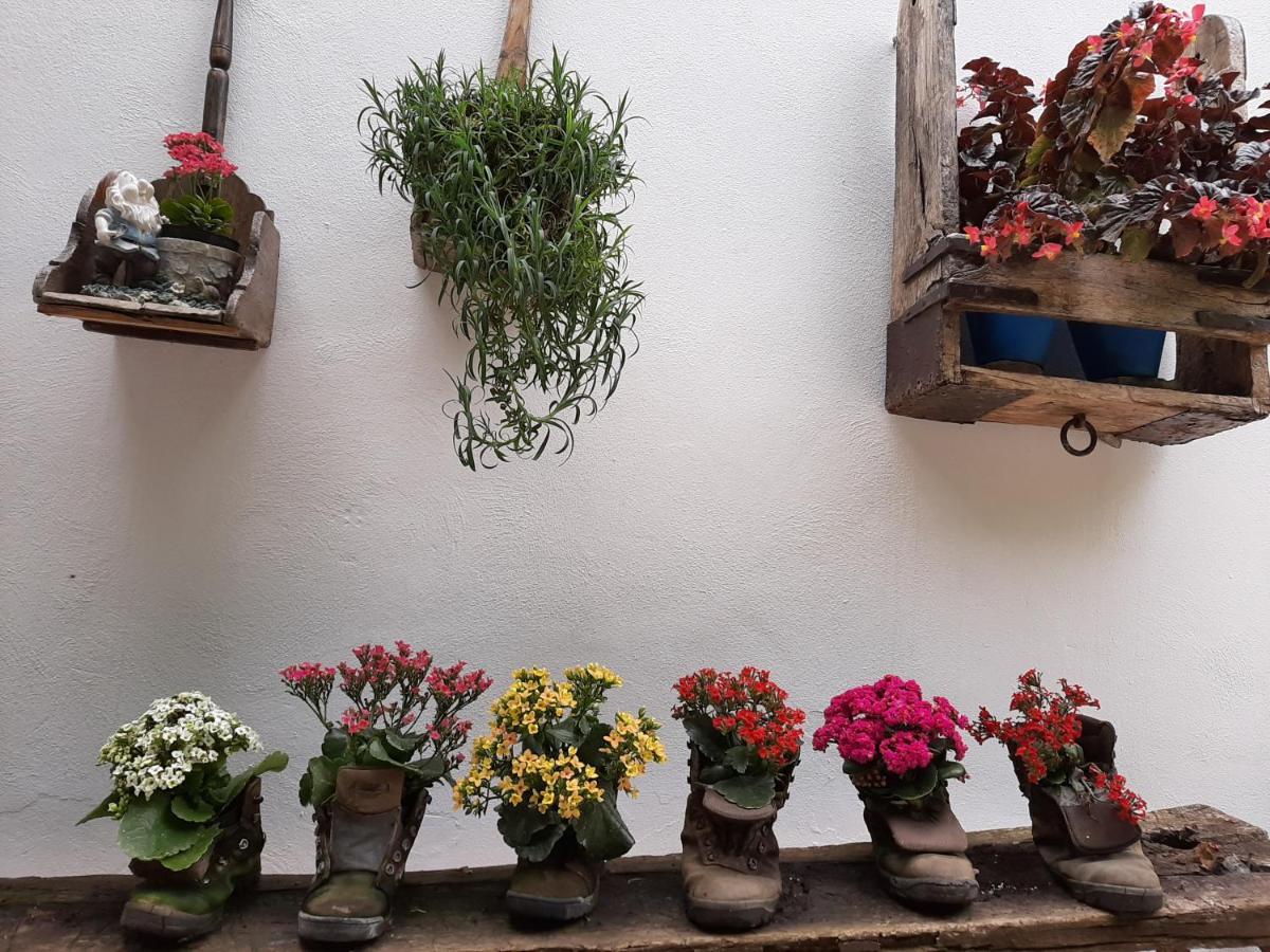 El Rincon De Carmen Guest House รูเต ภายนอก รูปภาพ